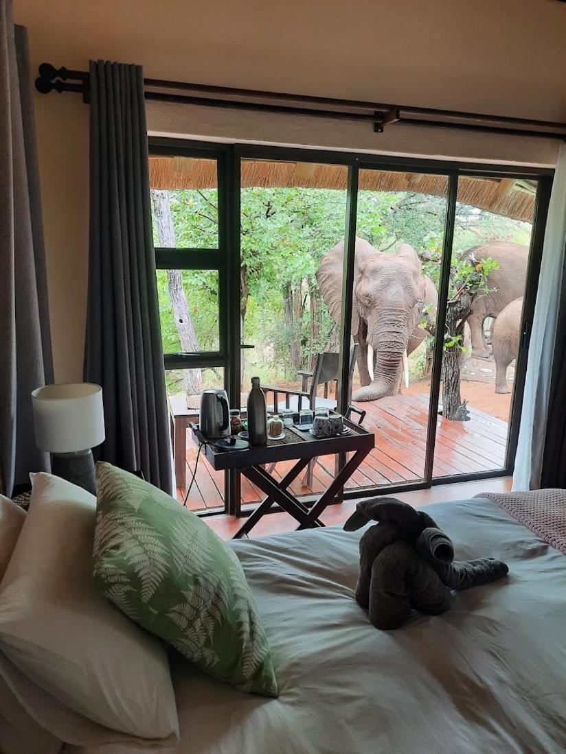 Lions Place Grietjie Wildreservaat Buitenkant foto