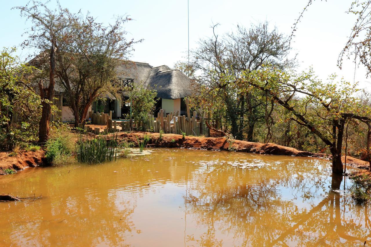 Lions Place Grietjie Wildreservaat Buitenkant foto
