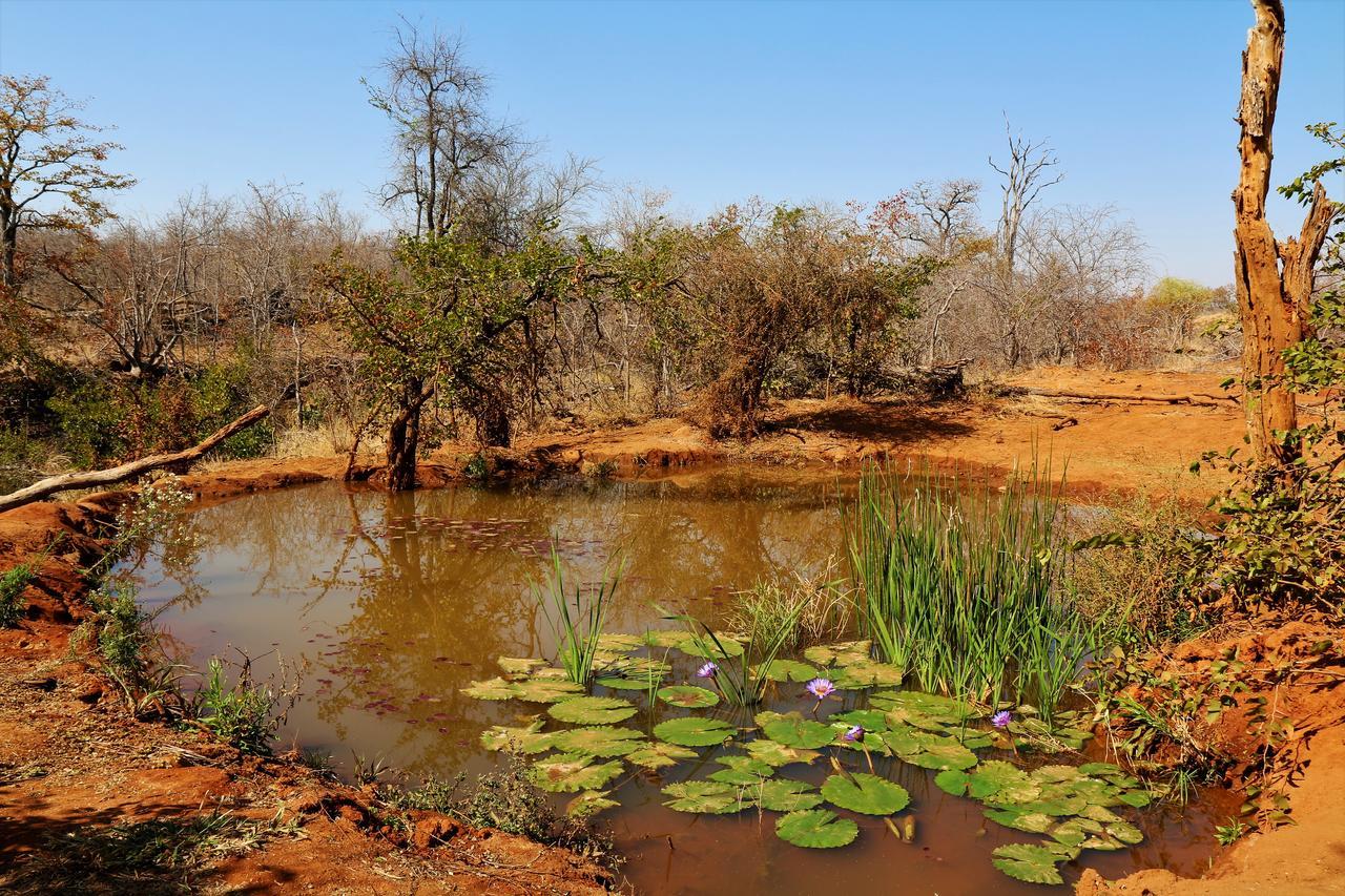 Lions Place Grietjie Wildreservaat Buitenkant foto
