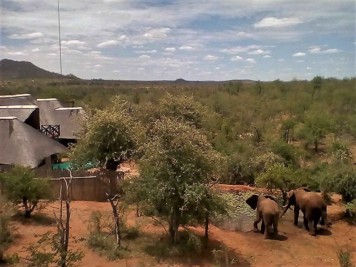 Lions Place Grietjie Wildreservaat Buitenkant foto