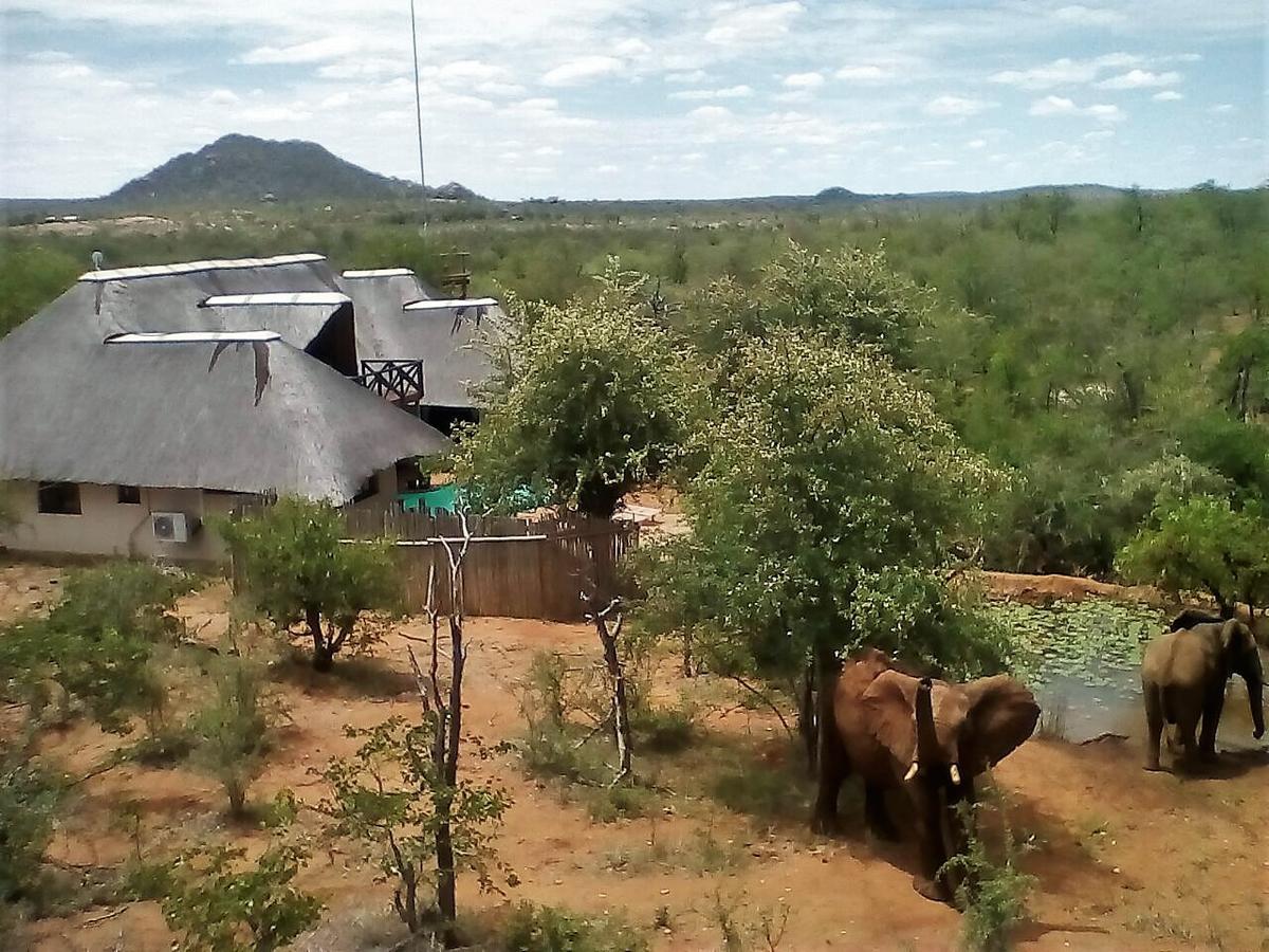 Lions Place Grietjie Wildreservaat Buitenkant foto