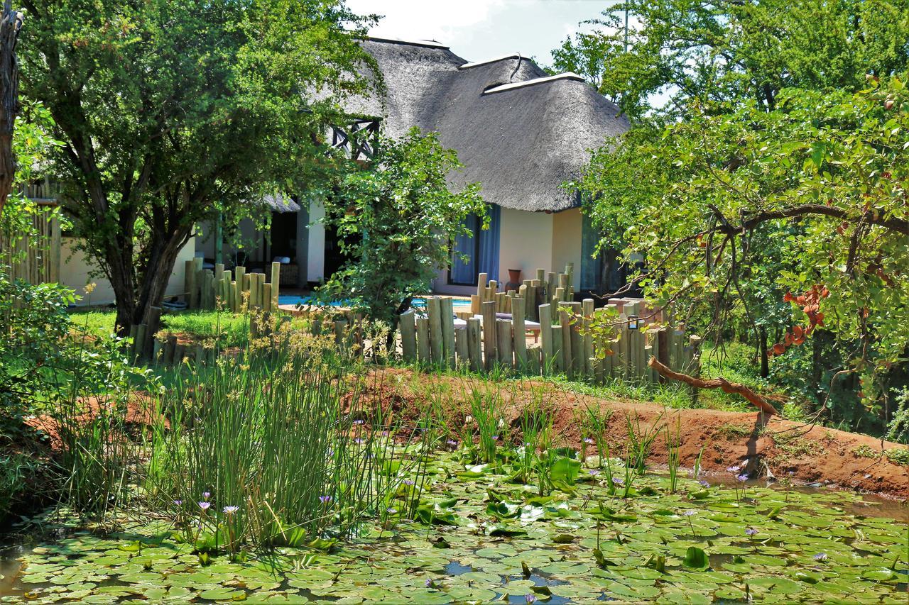 Lions Place Grietjie Wildreservaat Buitenkant foto