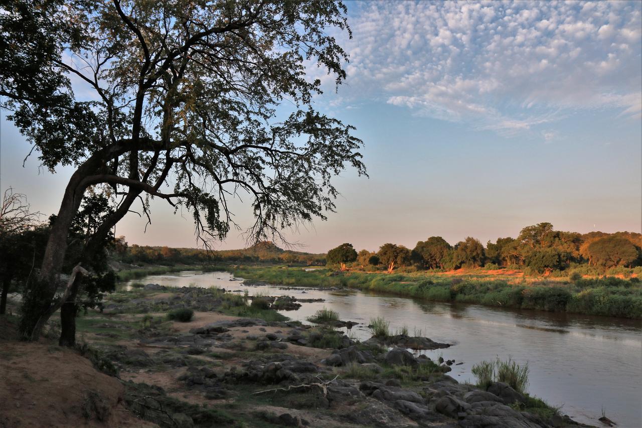 Lions Place Grietjie Wildreservaat Buitenkant foto