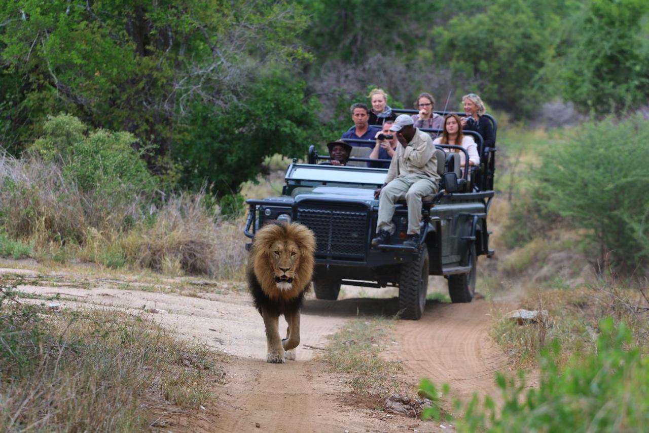 Lions Place Grietjie Wildreservaat Buitenkant foto